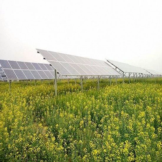 Landbouw PV-montagestructuren