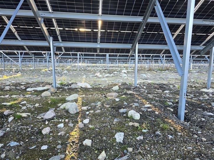 HDG Steel Solar Ramming Piles price