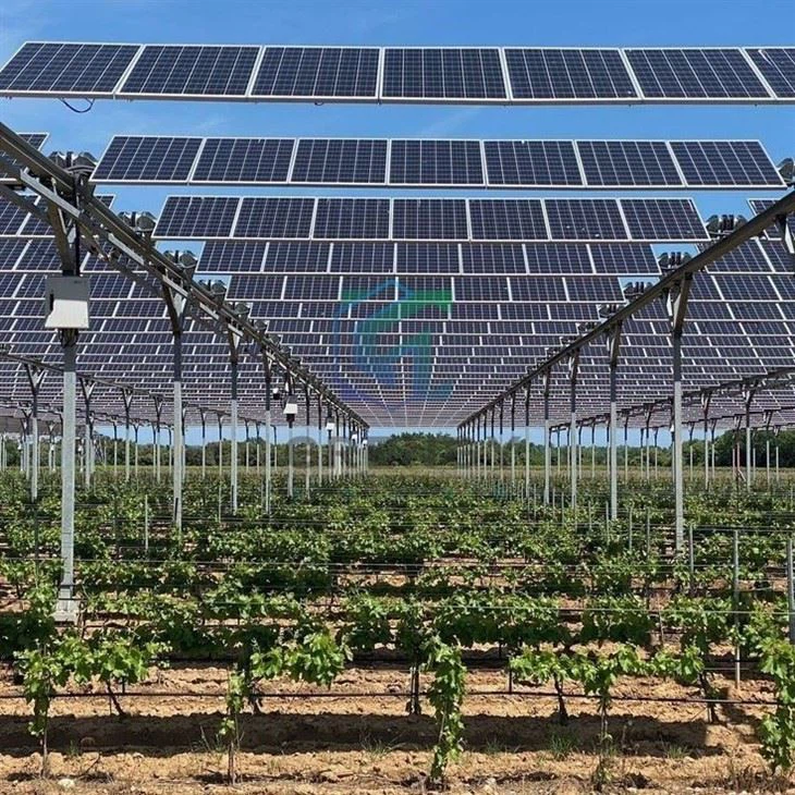 Solar Farm Agriculture Farming Mounting Solution